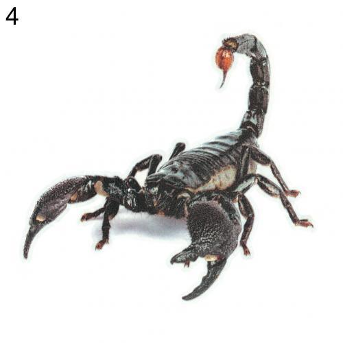 3D Spider Lizard Scorpion Car Sticker 3D animal pattern Vehicle Window Mirror Bumper Decal Decor Water-resistant High stickiness - KinglyDay