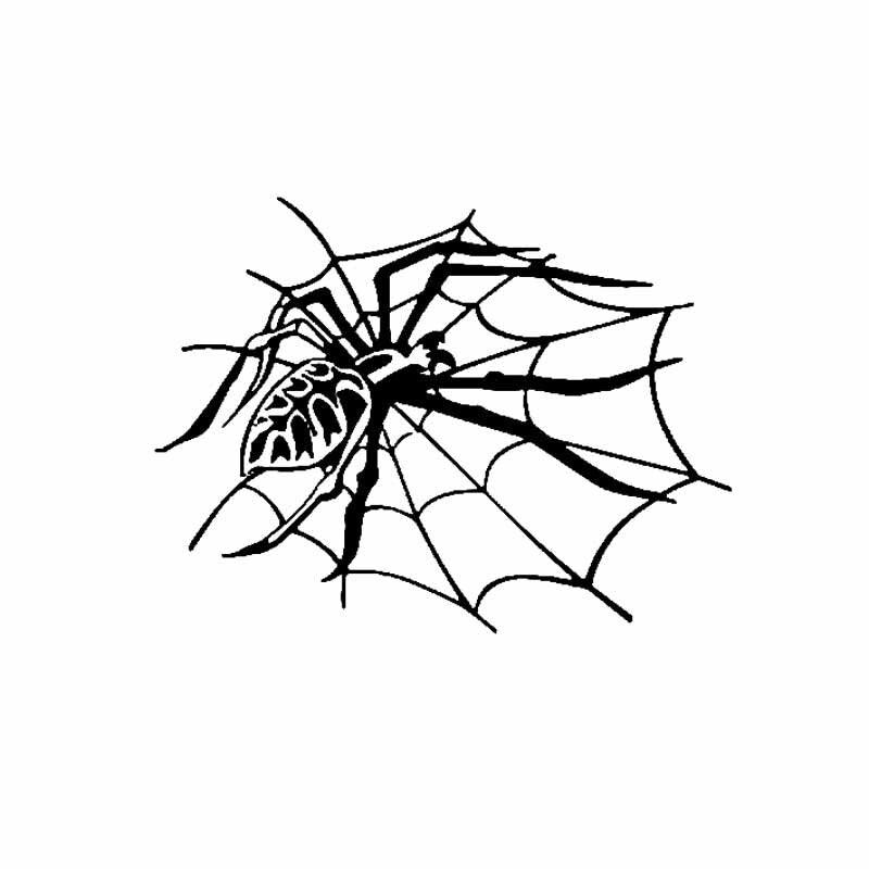 Car decals Lifelike Spider Webs Halloween Car Stickers Vinyl Decal waterproof sunscreen 15CM - KinglyDay